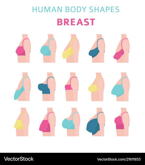 perfect boobies|The 12 Different Breast Shapes and Types